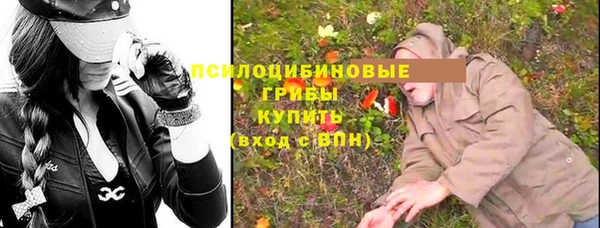 не бодяженный Арсеньев
